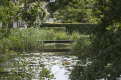 JH2_6079-1
